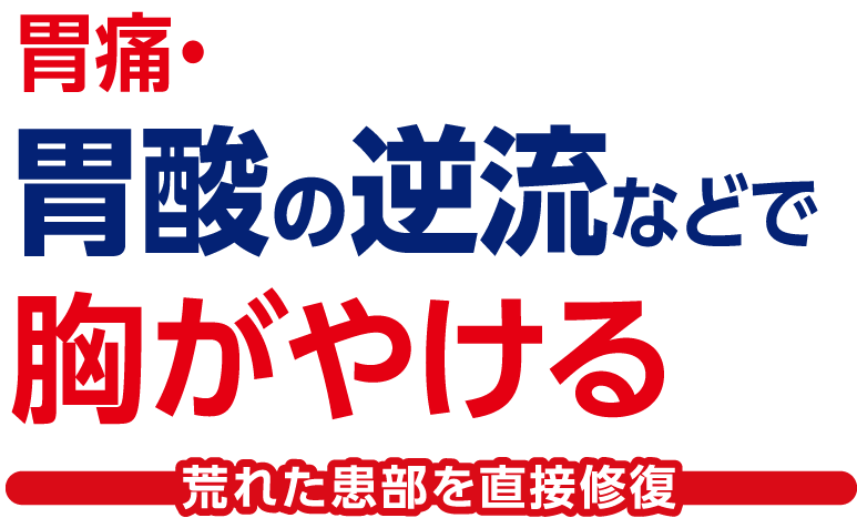 胃痛、胃酸の逆流などで胸がやける荒れた患部を直接修復